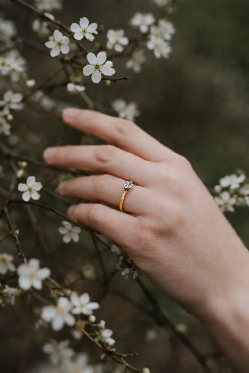 BAGUE ÉCLAT Mavi collection